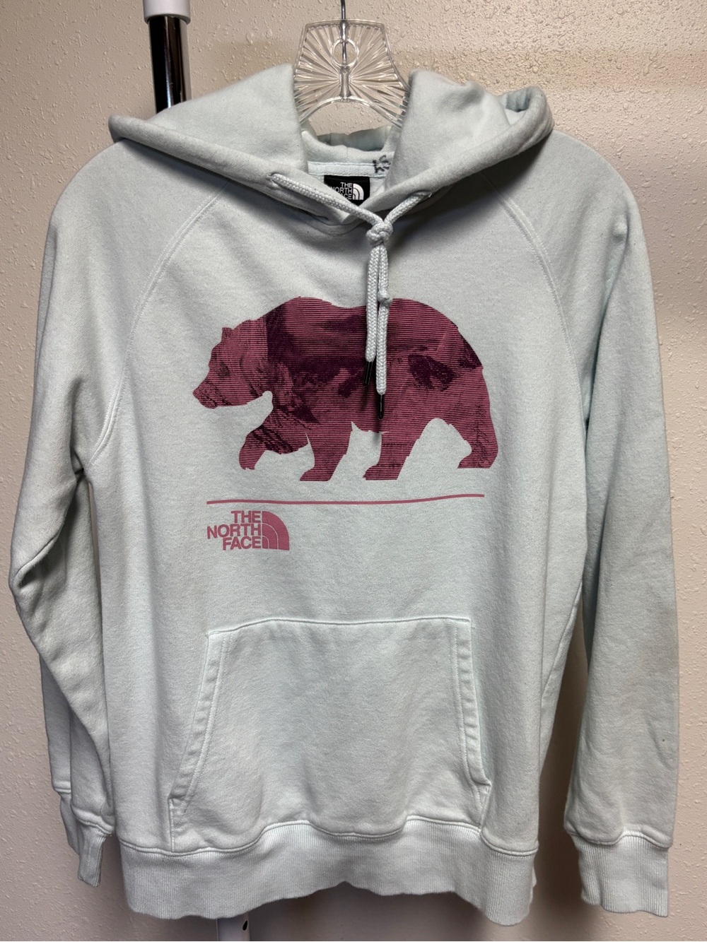 The North Face Light Blue Hoodie with Pink Bear Graphic